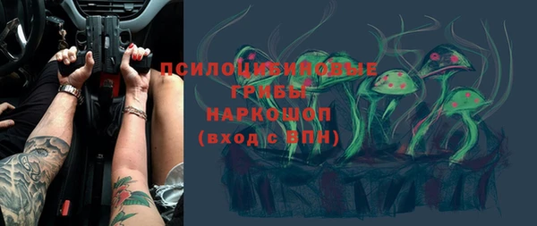 амф Арсеньев