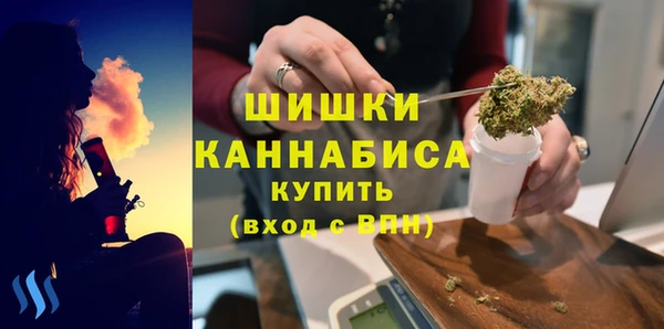 амф Арсеньев