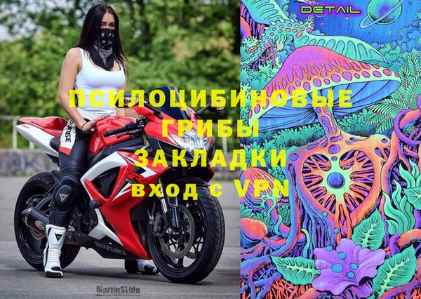 амф Арсеньев