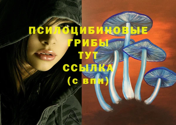 амф Арсеньев