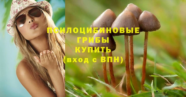 амф Арсеньев