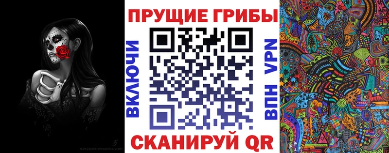 Купить где  Шали  Галлюциногенные грибы Psilocybe 